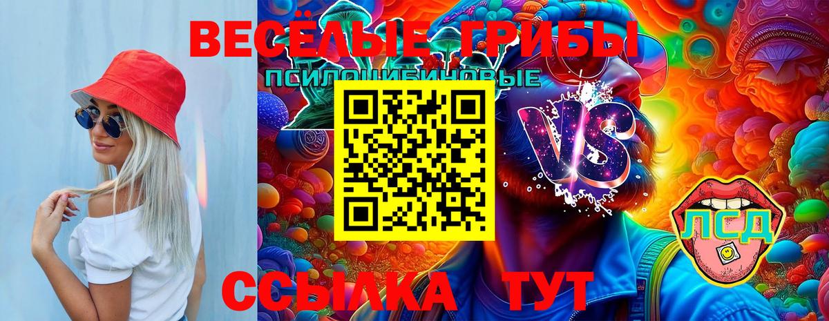 Галлюциногенные грибы MAGIC MUSHROOMS Кострома