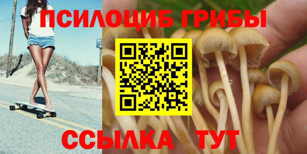 Кострома  Псилоцибиновые грибы прущие грибы  Вход с VPN  Псилоцибиновые грибы Cubensis 